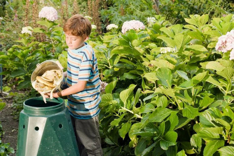 Un enfant transvasant du bois et du carton dans un bac à compost