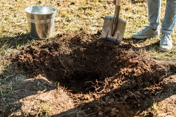 Un homme qui creuse un grand trou avec une pelle dans le but de planter un arbre.