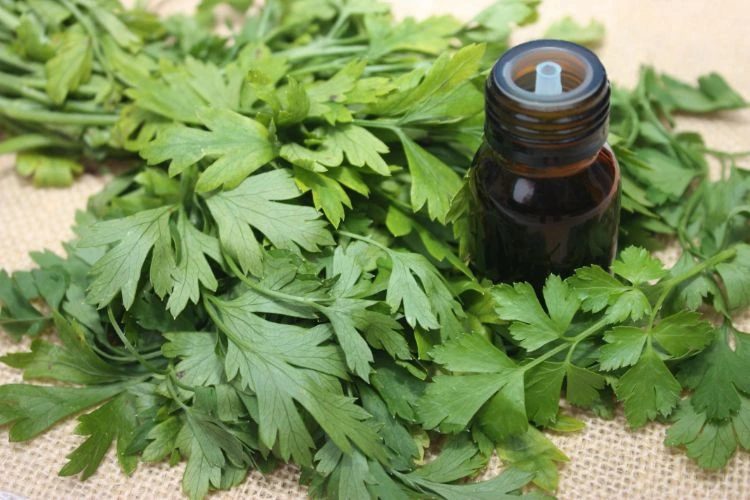 Huile essentielle de tea tree pour une recette anticalcaire