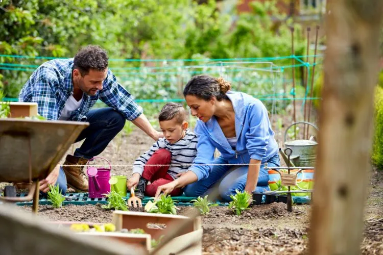 Atelier jardinage en famille