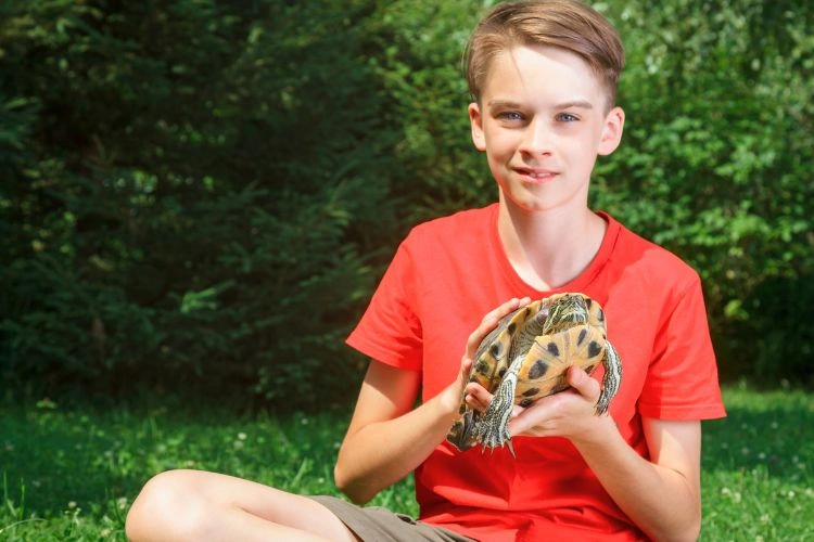 Petit garçon avec sa tortue