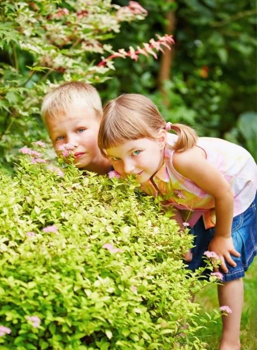 Enfants jouant à cache-cache