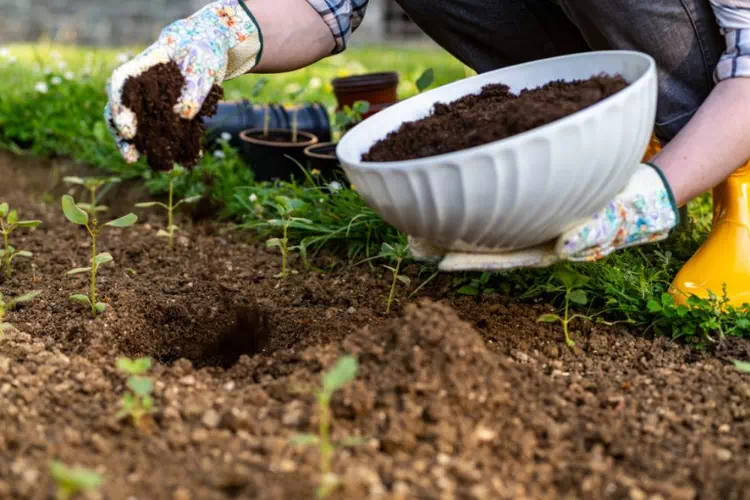 Personne qui entretient le sol de son jardin